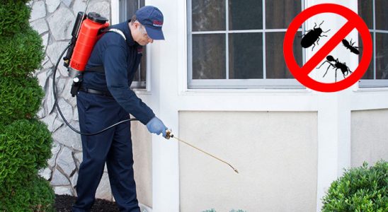 Bostanlı Karınca İlaçlama böcek ilaçlama ve haşere kontrolü — ilaclama-tr.com